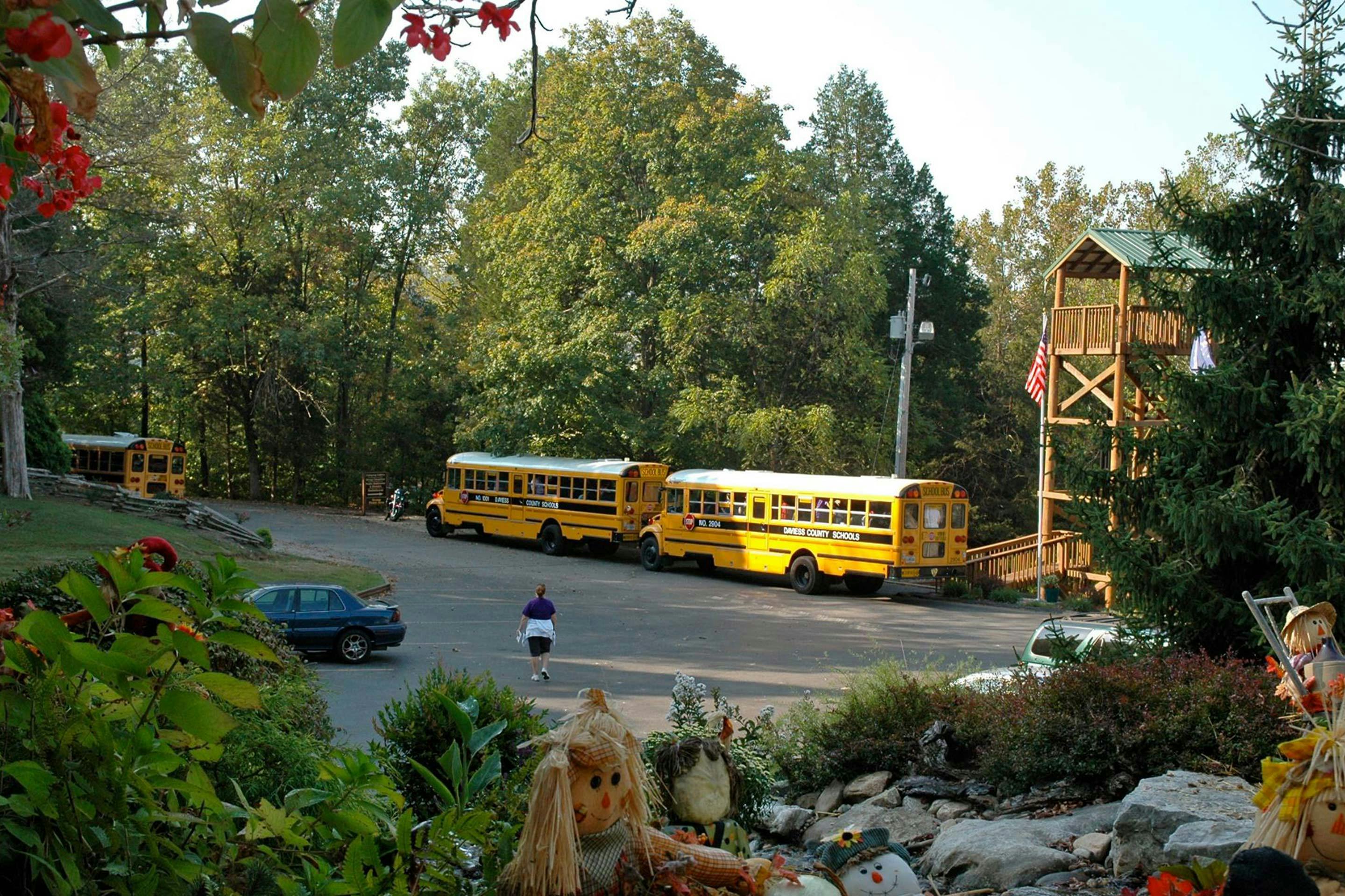 school buses parked outside Marengo Cave