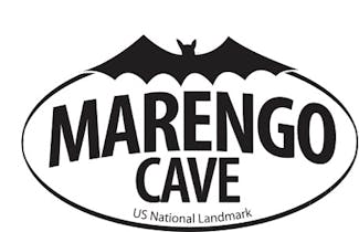 Marengo Cave-Black & White-Bat